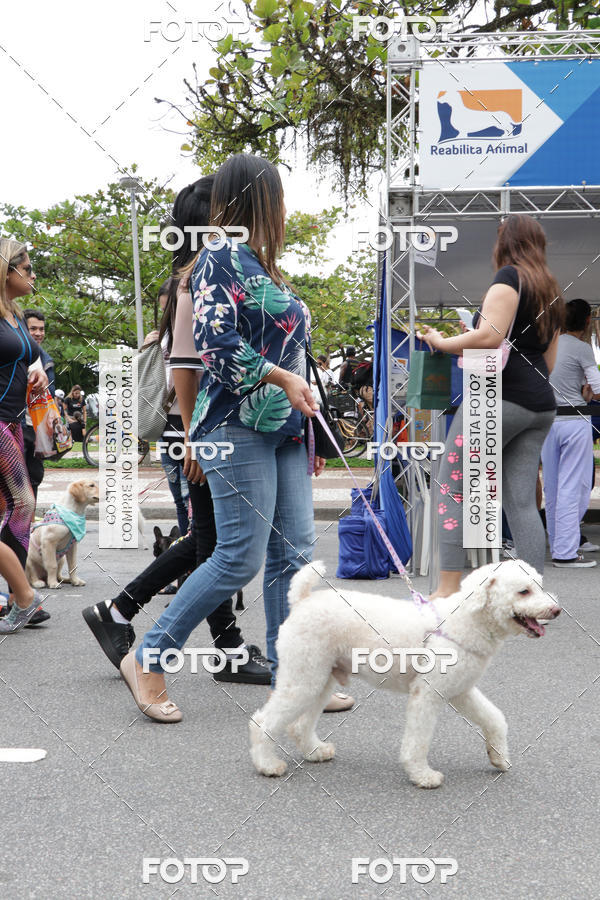 Buy your photos of the event13� C�ominhada - Santos on Fotop