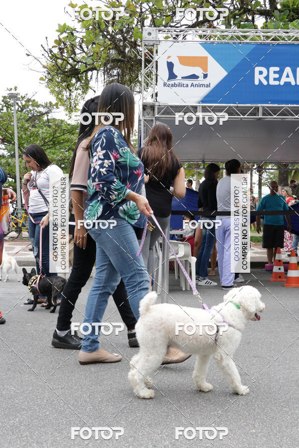 Buy your photos of the event13� C�ominhada - Santos on Fotop