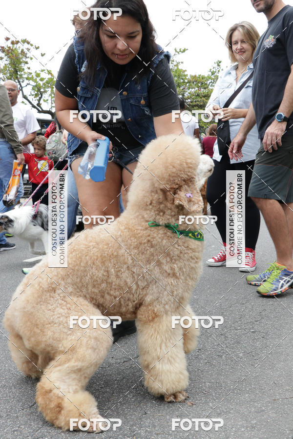 Buy your photos of the event13� C�ominhada - Santos on Fotop