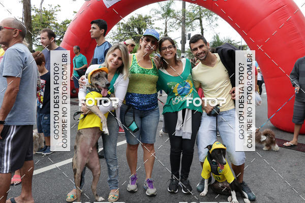 Buy your photos of the event13� C�ominhada - Santos on Fotop