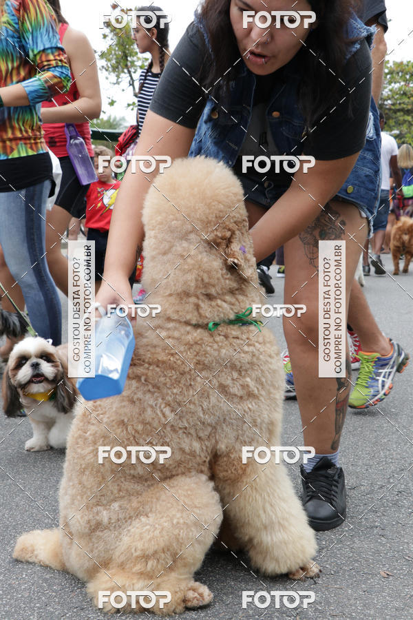 Buy your photos of the event13� C�ominhada - Santos on Fotop