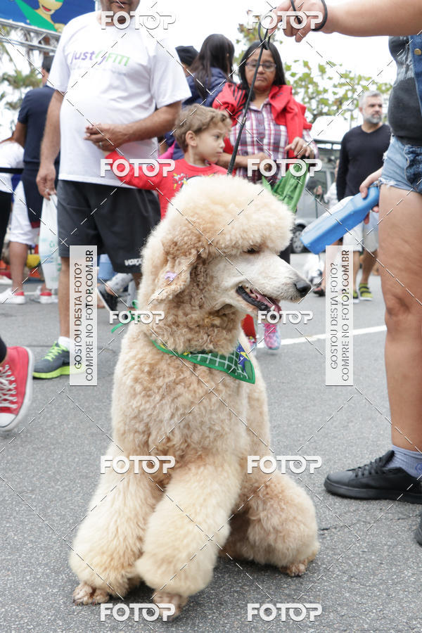 Buy your photos of the event13� C�ominhada - Santos on Fotop