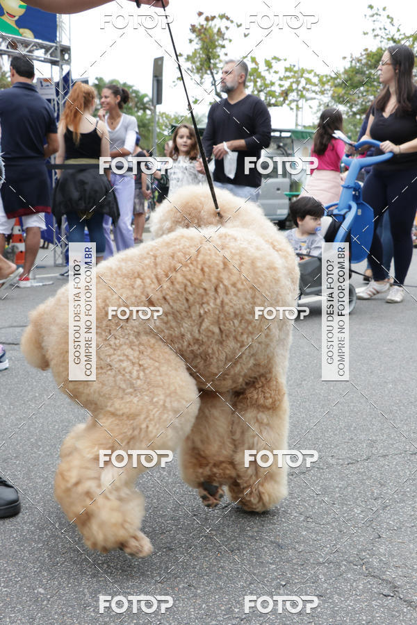 Buy your photos of the event13� C�ominhada - Santos on Fotop
