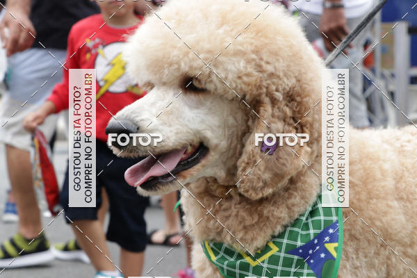 Buy your photos of the event13� C�ominhada - Santos on Fotop