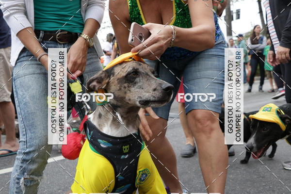 Buy your photos of the event13� C�ominhada - Santos on Fotop