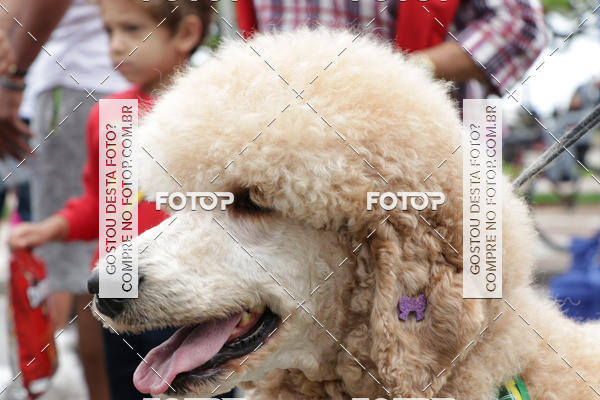 Buy your photos of the event13� C�ominhada - Santos on Fotop