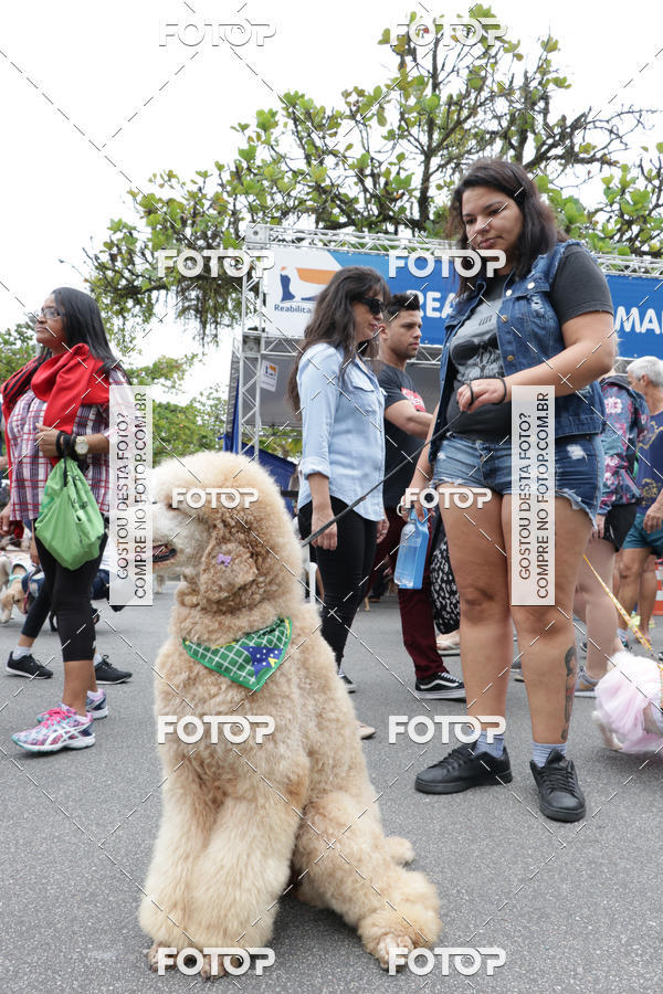 Buy your photos of the event13� C�ominhada - Santos on Fotop