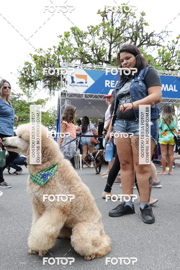 Buy your photos of the event13� C�ominhada - Santos on Fotop