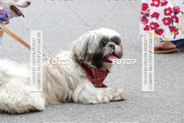 Buy your photos of the event13� C�ominhada - Santos on Fotop