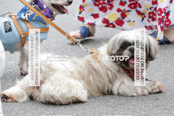 Buy your photos of the event13� C�ominhada - Santos on Fotop