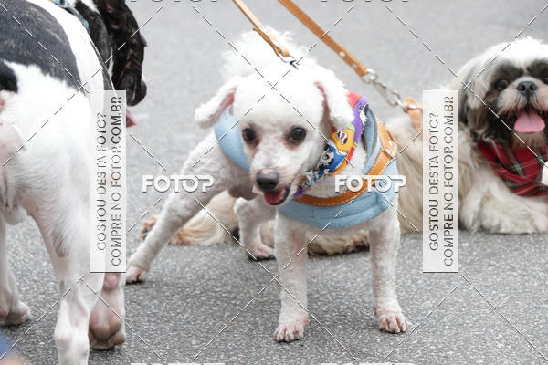 Buy your photos of the event13� C�ominhada - Santos on Fotop