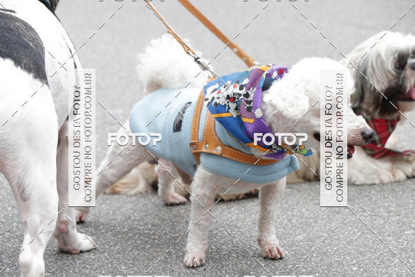 Buy your photos of the event13� C�ominhada - Santos on Fotop