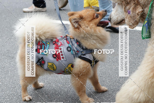 Buy your photos of the event13� C�ominhada - Santos on Fotop