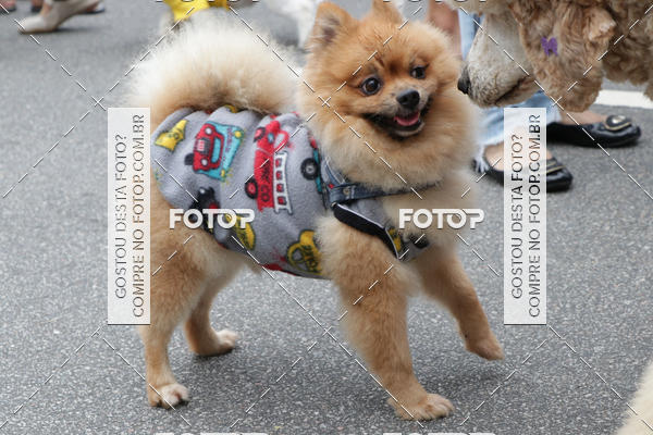 Buy your photos of the event13� C�ominhada - Santos on Fotop