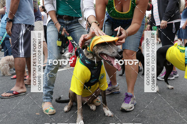 Buy your photos of the event13� C�ominhada - Santos on Fotop