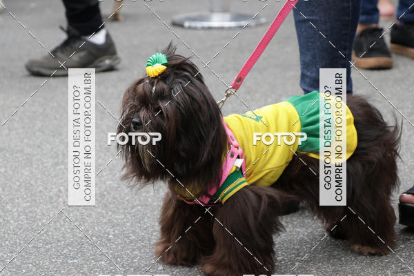 Buy your photos of the event13� C�ominhada - Santos on Fotop