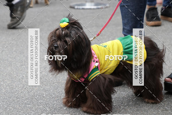 Buy your photos of the event13� C�ominhada - Santos on Fotop