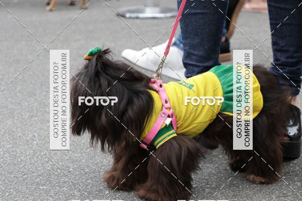 Buy your photos of the event13� C�ominhada - Santos on Fotop