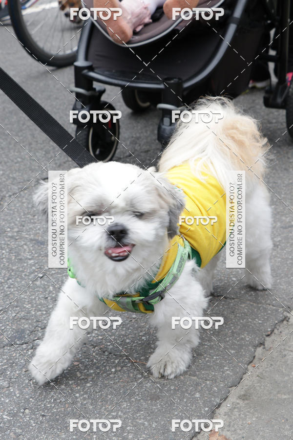 Buy your photos of the event13� C�ominhada - Santos on Fotop