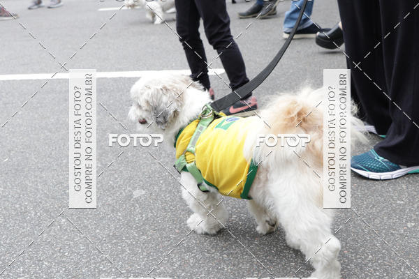 Buy your photos of the event13� C�ominhada - Santos on Fotop