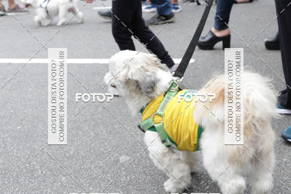 Buy your photos of the event13� C�ominhada - Santos on Fotop