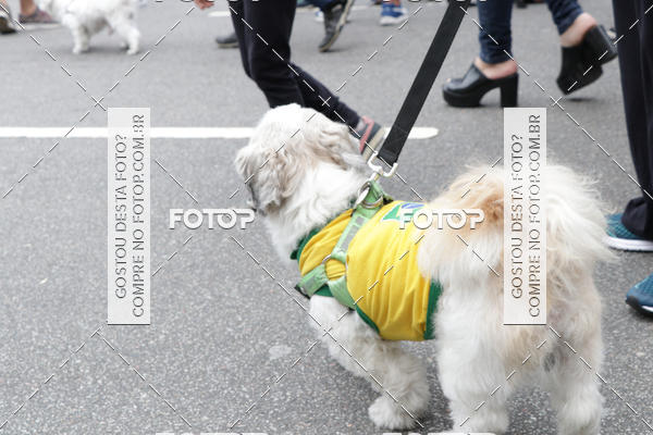 Buy your photos of the event13� C�ominhada - Santos on Fotop