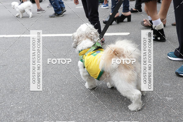 Buy your photos of the event13� C�ominhada - Santos on Fotop