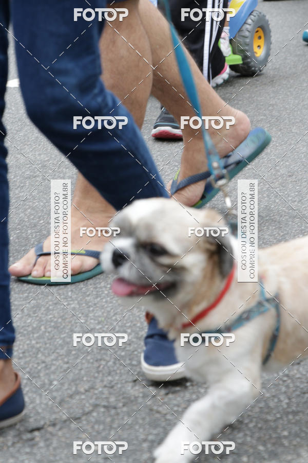 Buy your photos of the event13� C�ominhada - Santos on Fotop