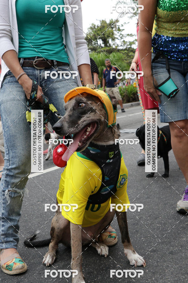 Buy your photos of the event13� C�ominhada - Santos on Fotop