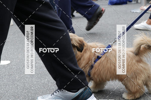 Buy your photos of the event13� C�ominhada - Santos on Fotop