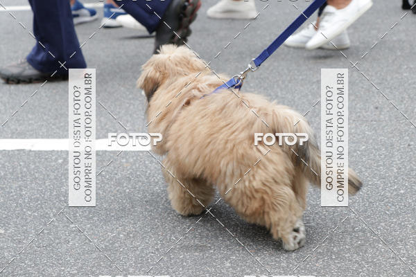 Buy your photos of the event13� C�ominhada - Santos on Fotop