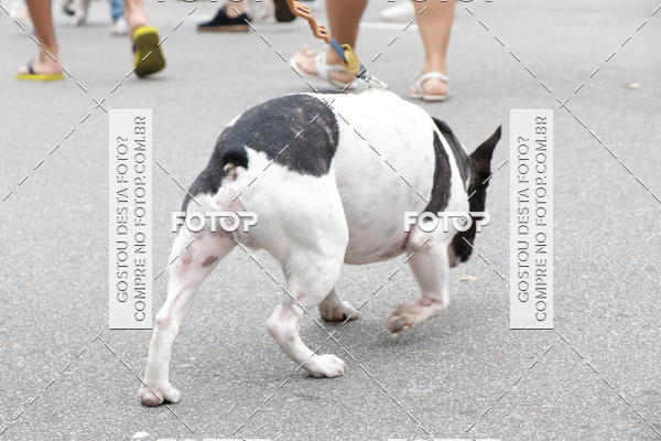 Buy your photos of the event13� C�ominhada - Santos on Fotop