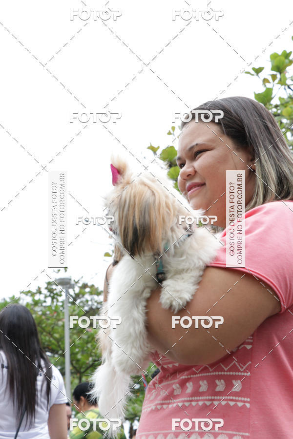 Buy your photos of the event13� C�ominhada - Santos on Fotop