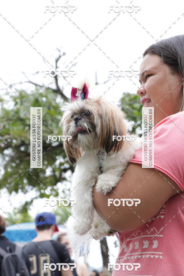 Buy your photos of the event13� C�ominhada - Santos on Fotop