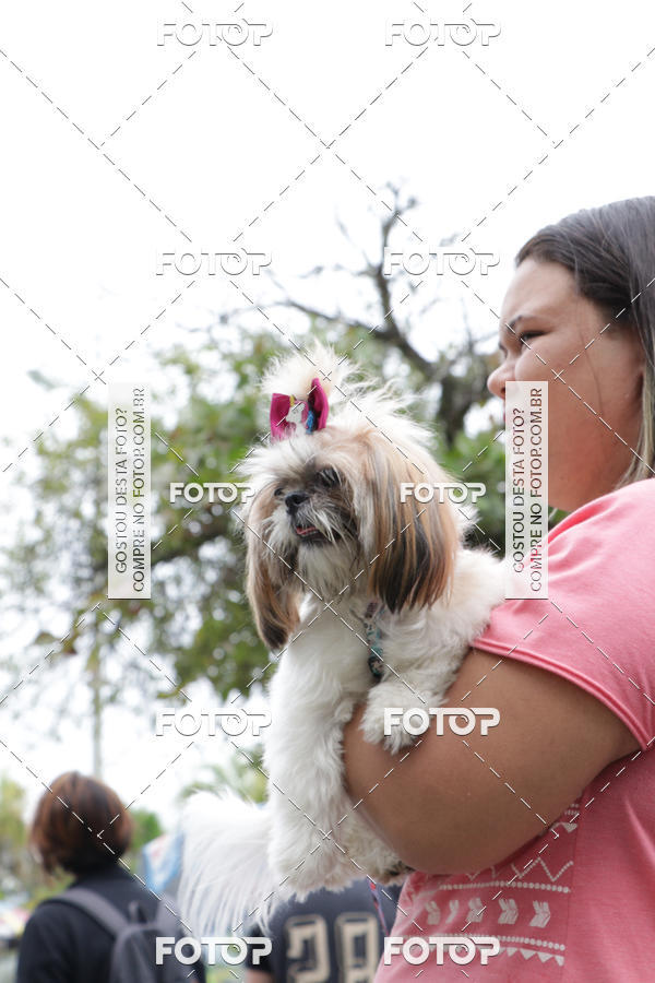 Buy your photos of the event13� C�ominhada - Santos on Fotop