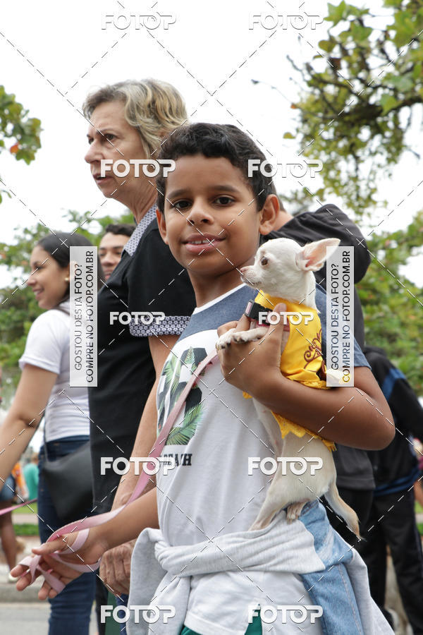 Buy your photos of the event13� C�ominhada - Santos on Fotop