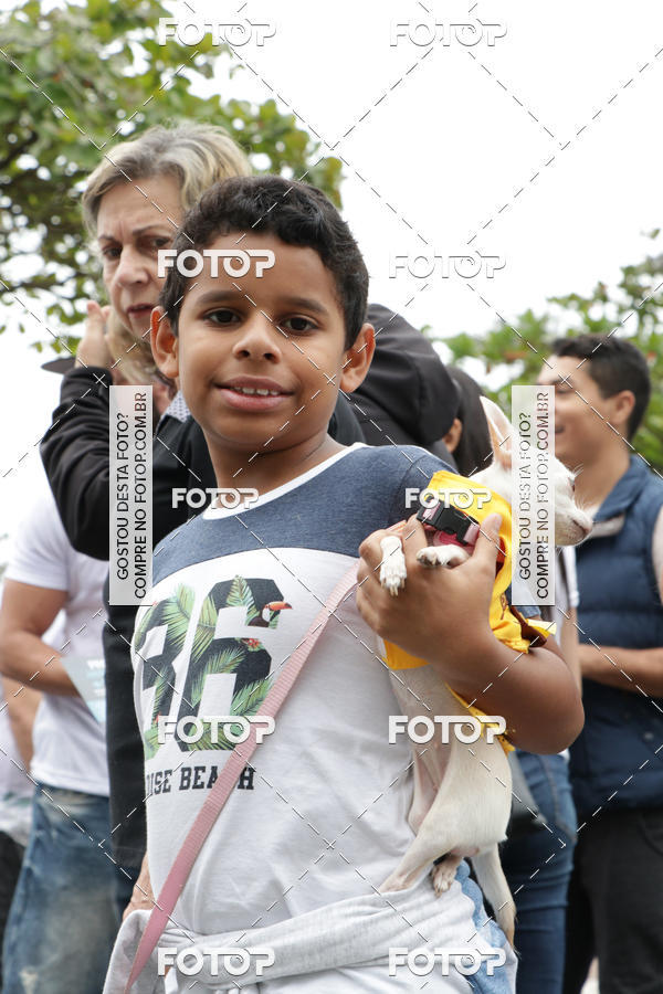 Buy your photos of the event13� C�ominhada - Santos on Fotop