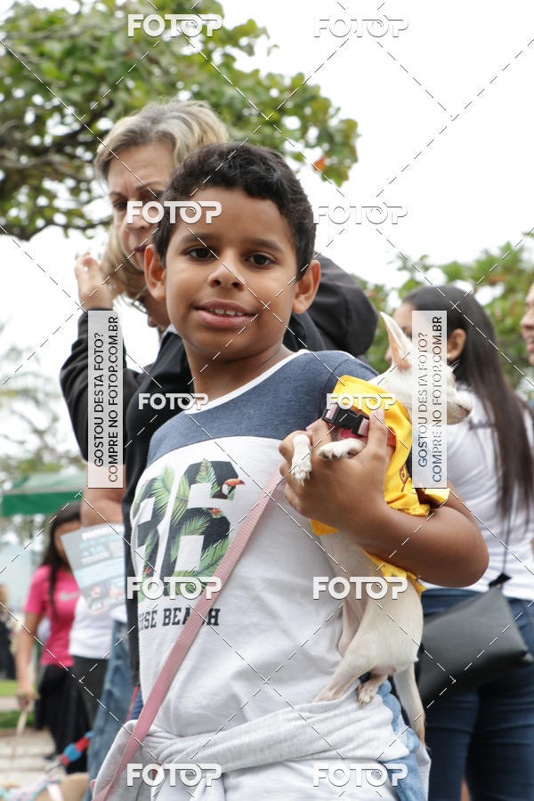 Buy your photos of the event13� C�ominhada - Santos on Fotop