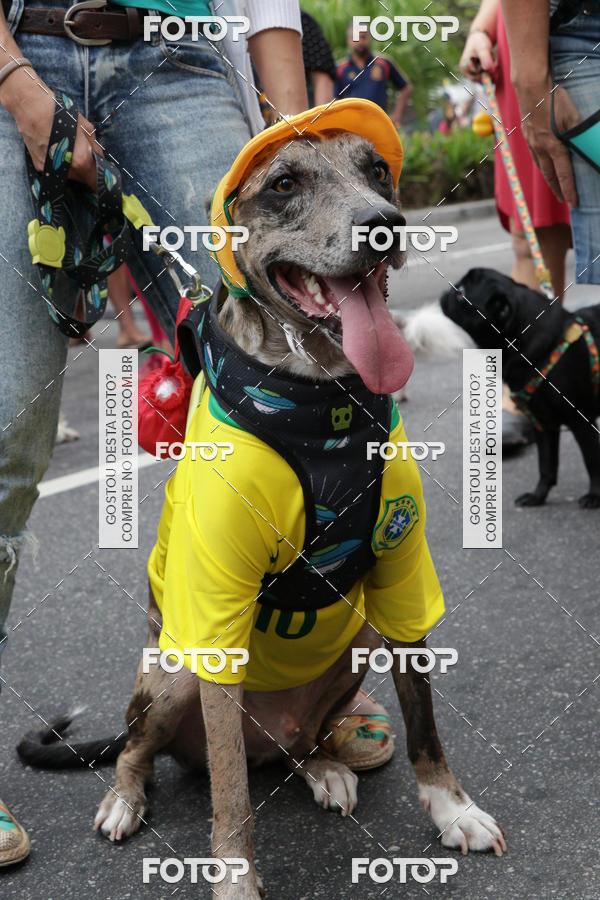 Buy your photos of the event13� C�ominhada - Santos on Fotop