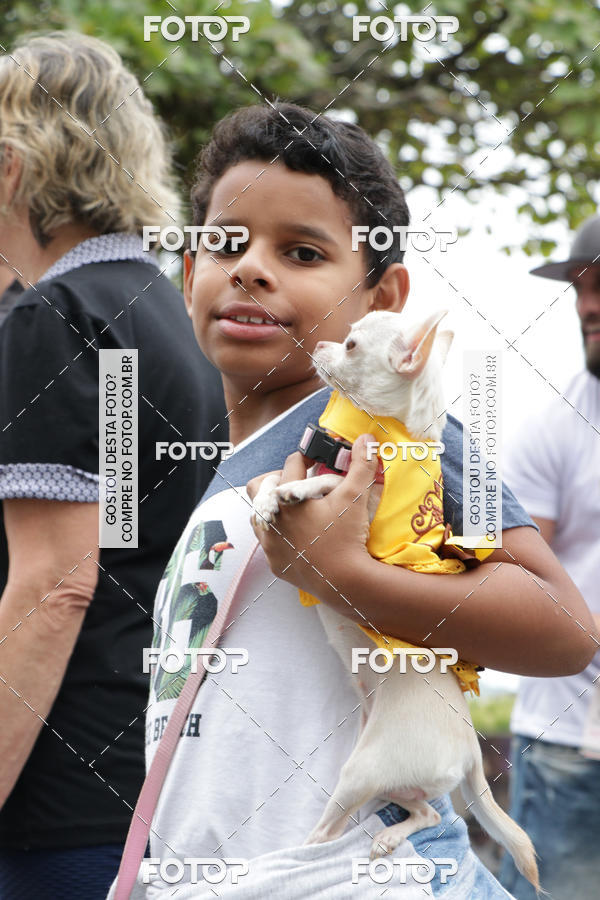 Buy your photos of the event13� C�ominhada - Santos on Fotop