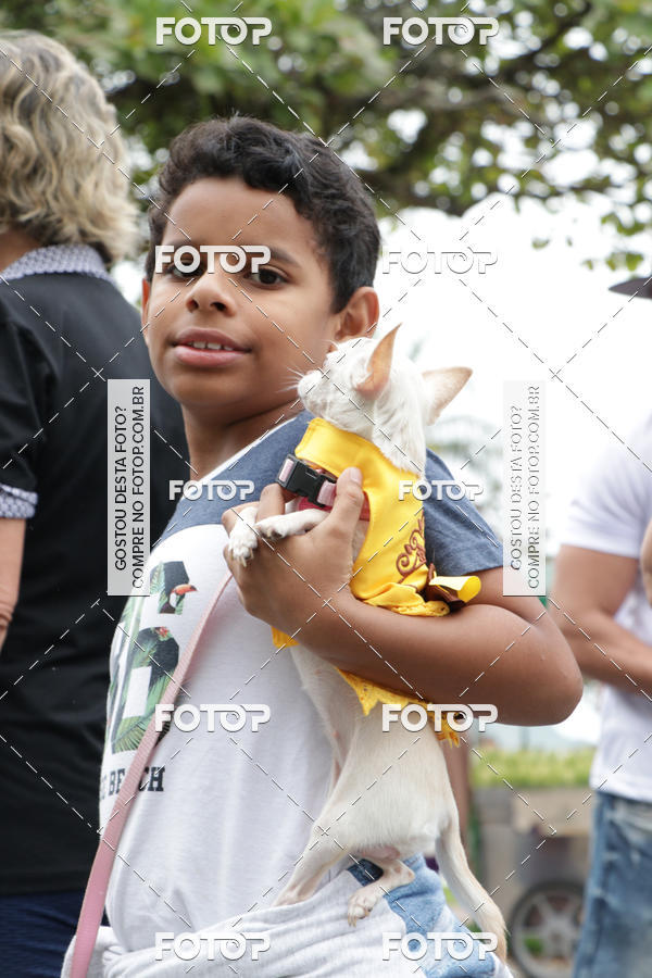 Buy your photos of the event13� C�ominhada - Santos on Fotop