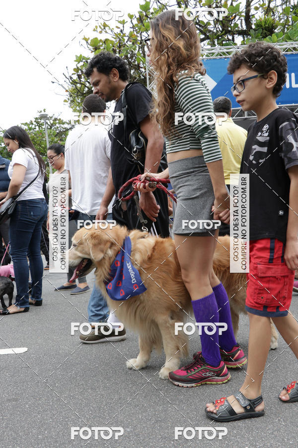 Buy your photos of the event13� C�ominhada - Santos on Fotop