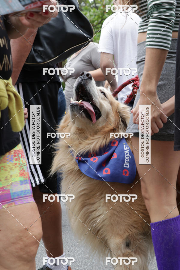 Buy your photos of the event13� C�ominhada - Santos on Fotop