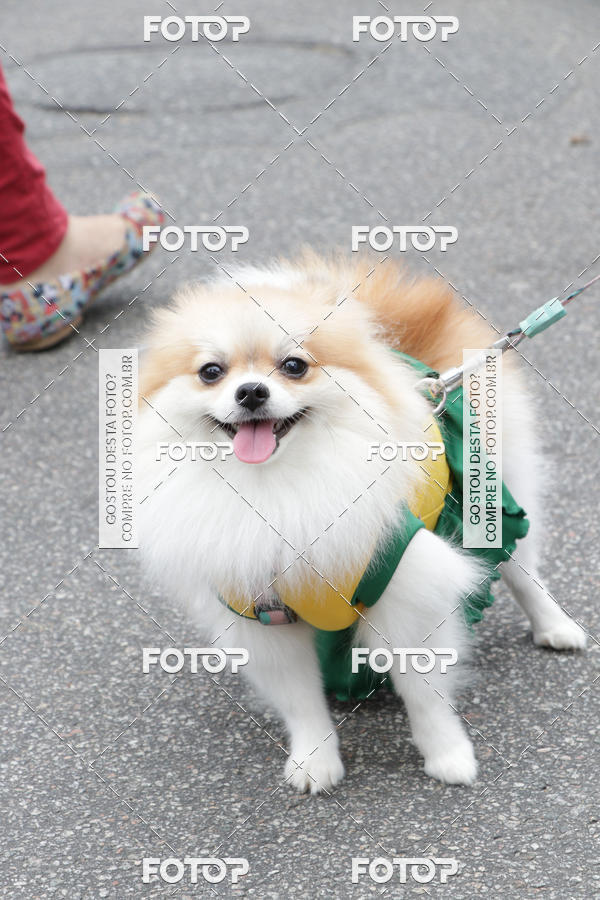 Buy your photos of the event13� C�ominhada - Santos on Fotop