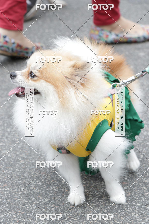 Buy your photos of the event13� C�ominhada - Santos on Fotop