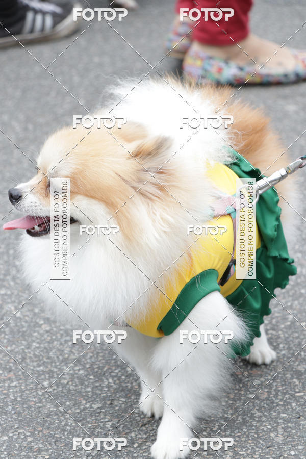 Buy your photos of the event13� C�ominhada - Santos on Fotop