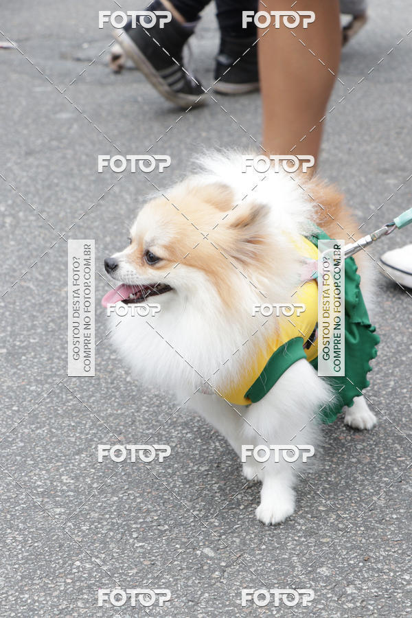 Buy your photos of the event13� C�ominhada - Santos on Fotop