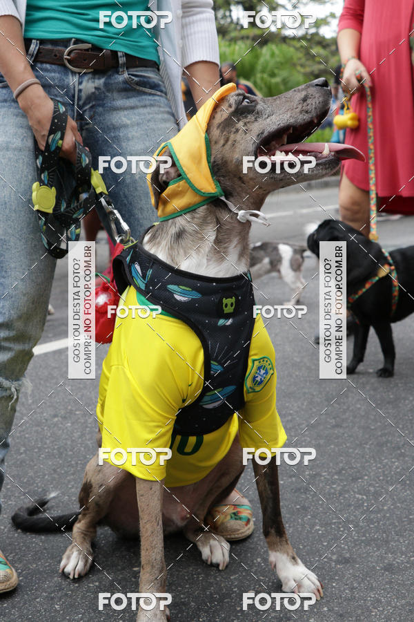 Buy your photos of the event13� C�ominhada - Santos on Fotop