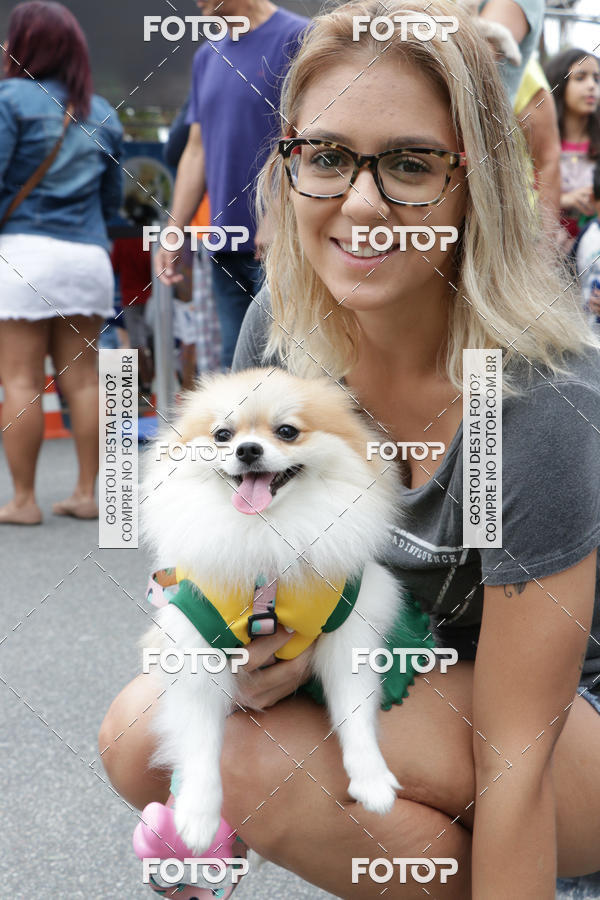 Buy your photos of the event13� C�ominhada - Santos on Fotop