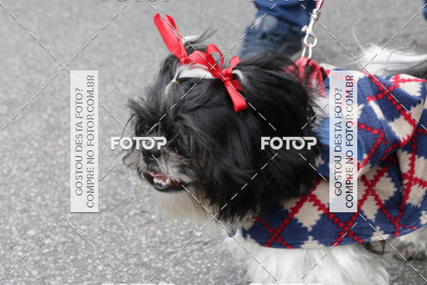 Buy your photos of the event13� C�ominhada - Santos on Fotop